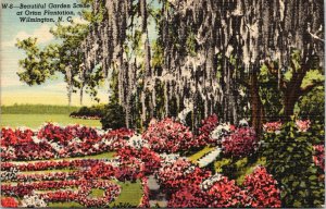 postcard Wilmington NC - Beautiful Garden Scene at Orton Plantation