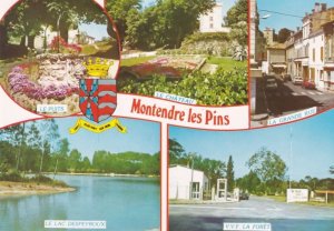 Montendre Le Pins Grande Rue Forest Lake French Postcard