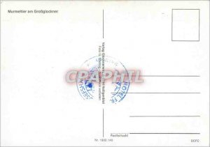 Modern Postcard Murmeltier am GroBglockner