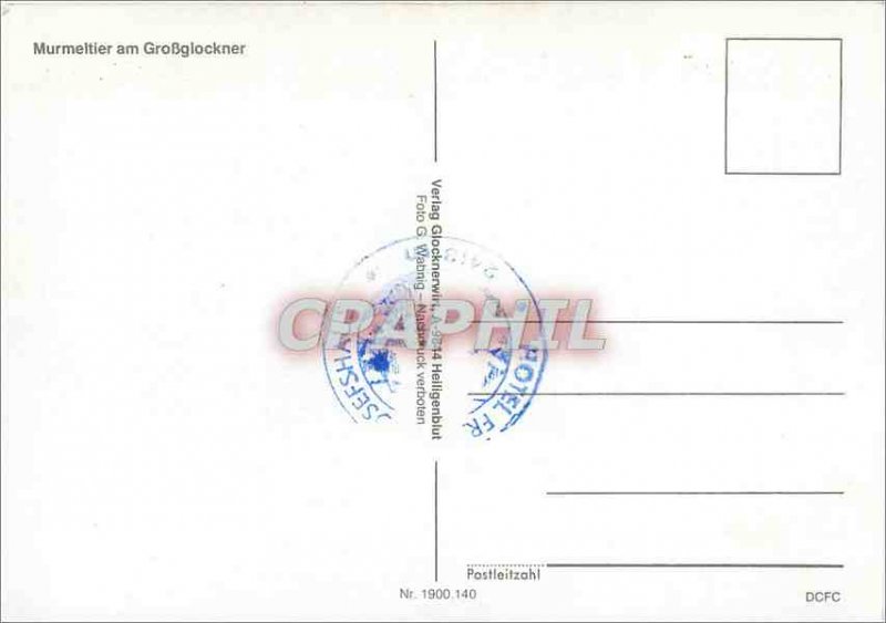 Modern Postcard Murmeltier am GroBglockner