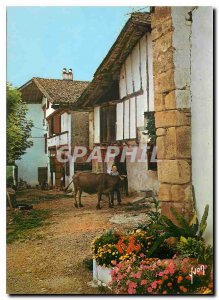 Postcard Modern Colors and Light of France Basque Country picturesque farms i...