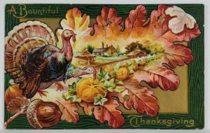 Thanksgiving Bountiful View Turkey Pumpkins Chestnuts Embossed 1909 Postcard S9