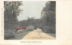 MADISON WISCONSIN-TENNEY PARK-1900s W G MacFARLANE PUBL PRIVATE POSTCARD