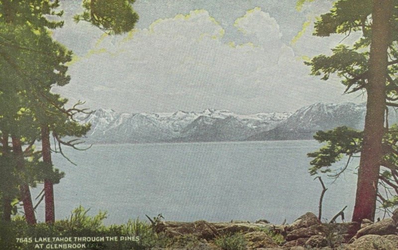 C.1910 Lake Tahoe Through The Pines, Glenbrook, Calif. Vintage Postcard P105