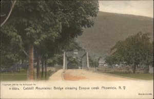 Phoenicia New York NY Catskill Mountains Bridge Color Rotograph c1910 Postcard