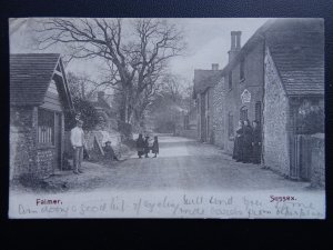 Sussex FALMER Tea Rooms c1905 Postcard by Mezzotint Co. of Brighton