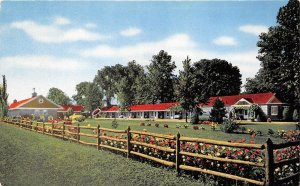 Fremont Ohio 1960s Postcard Great Lakes Motel