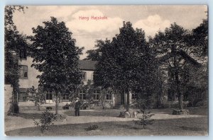 Denmark Postcard Hong Hojskole Building View c1910 Unposted  Antique