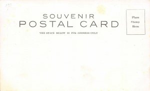 H76/ Henry Illinois Postcard c1910 Lock & Dam Section  88