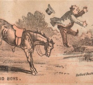 1880s Averett & White's Shoe & Hats Comical Equestrian Horses Lot Of 4 F160