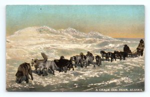 Crack Dog Sled Team Alaska AK UNP DB Postcard N14