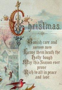 1880s Victorian Christmas Card Banish Care & Sorrow Bird Holly Sledding P150