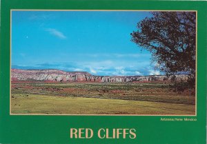 Red Cliffs Along the Arizona New Mexico State Line 4 by 6
