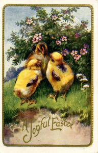 Greeting - Easter. Chick(s)