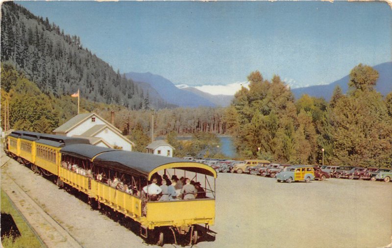 Bellingham Washington 1940-50s Postcard Skagit River Train Cars