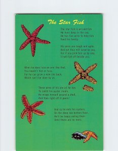 Postcard The Star Fish