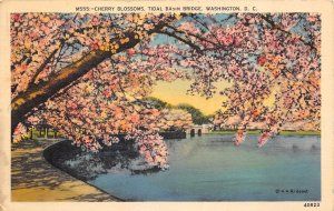 Washington DC 1940 Postcard Tidal Basin Range Cherry Blossoms