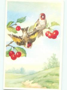 Pre-1980 BIRDS IN THE CHERRY TREE AC7048