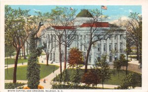 J51/ Raleigh North Carolina Postcard c1910 Capitol and Grounds 66