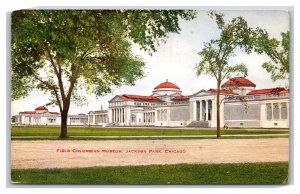 Field Columbian Museum Chicago Illinois IL UNP DB Postcard N24