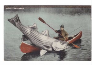 The First One I Landed, Exaggerated Fish, Canoe, Fisherman, Antique Postcard