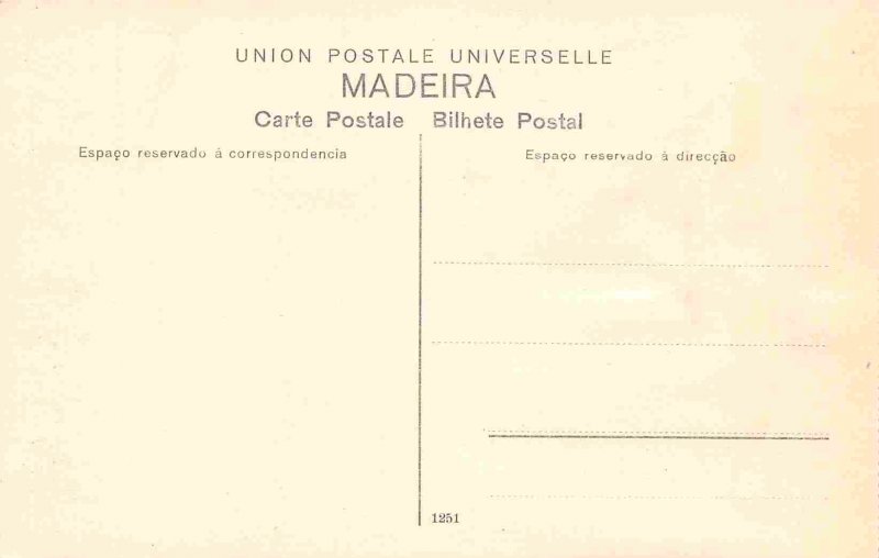 Theater & Municipal Gardens Madeira Portugal 1910c postcard