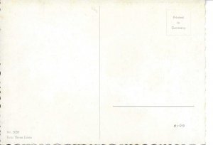 Cat, on alert Modern German photo postcard 1970s