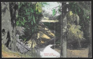 Creek & Trees Near Yazoo City Mississippi Unused c1910s