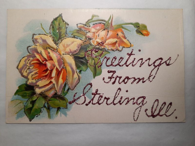Postcard glitter floral IL Sterling - greetings