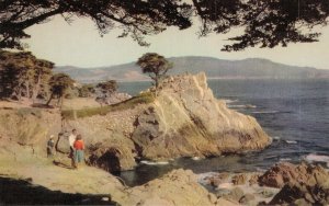 USA Seventeen Mile Drive Monterey Peninsula Vintage Postcard 07.54