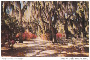 Georgia Savannah Bonaventure Cemetery