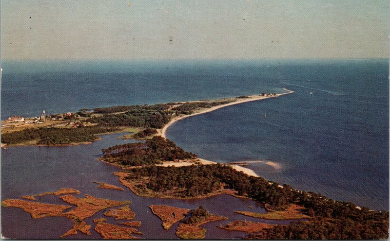 Vtg Potomoc River Chesapeake Bay Point Lookout Maryland MD Postcard