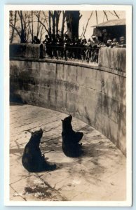 RPPC  BERN, SWITZERLAND Bärengraben BEAR PIT Hausi & Joggi c1920s  Postcard