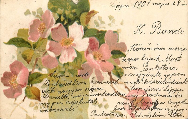 Holidays & celebrations 1900s greetings Blossoms flower Hungary