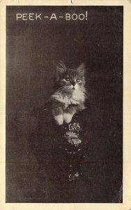 c.1909, Kitten, Peek A Boo!, Luther OK Cancel, message,  Old Postcard