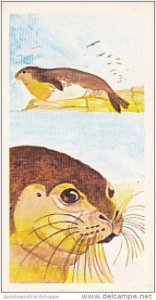 Brooke Bond Vintage Trade Card Vanishing Wildlife 1978 No 2 Mediterranean Mon...