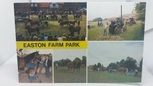 Vintage Multiview Postcard Easton Farm Park Wickham Market 1980s VGC