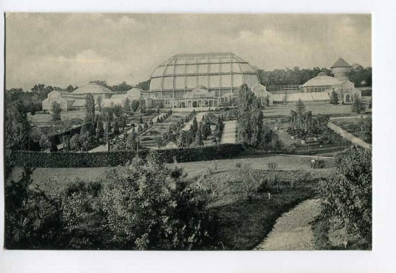 286972 GERMANY BERLIN Dahlem royal botanical garden Vintage postcard