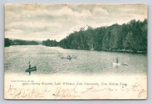 1907  Yale University   New Haven  Connecticut    Postcard