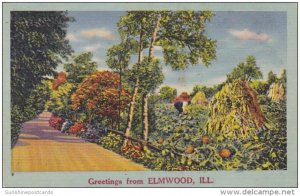 Illinois Greetings From Elmwood