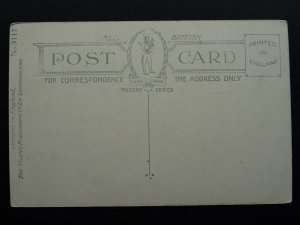 Postal Theme SENDING YOU A PARCEL WITH MYSELF INSIDE c1907 Postcard by Regent