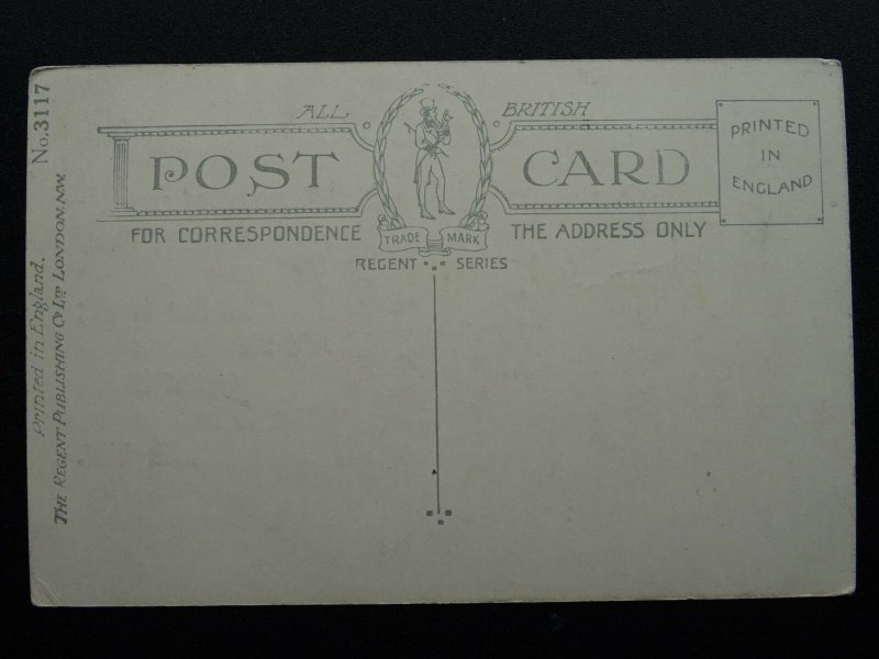 Postal Theme SENDING YOU A PARCEL WITH MYSELF INSIDE c1907 Postcard by Regent