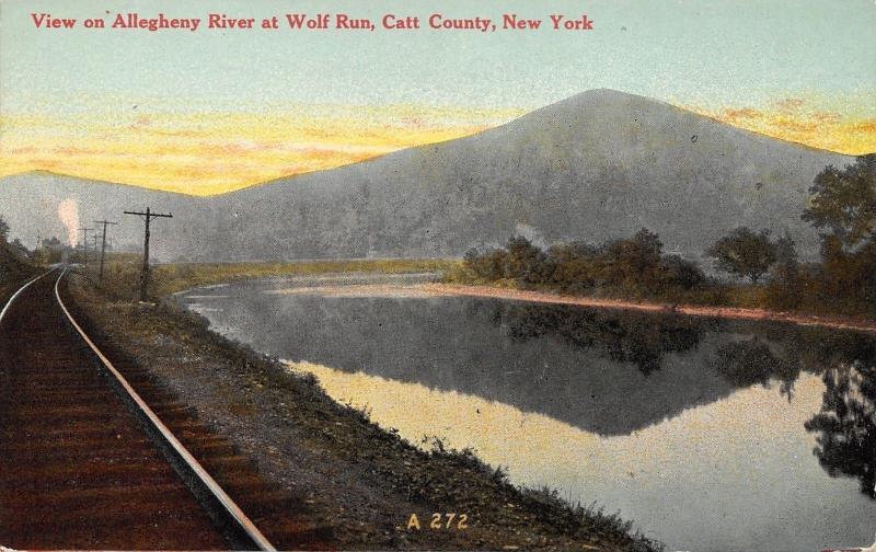 Halliday Island-Browns Hollow-Hotchkiss Hollow NY~Railroad Train @ Wolf Run 1910 