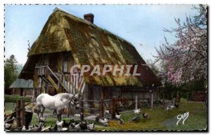 Old Postcard Normandy whole farm (horse riding)