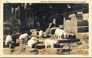 VTG Bear Pit Brookfield Zoo Zoological Garden Chicago Illinois IL Linen Postcard