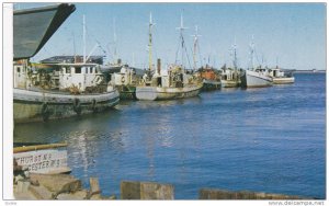 Modern Draggers in Port, Bay Chaleur,  N.B.,  Canada,  PU-1964