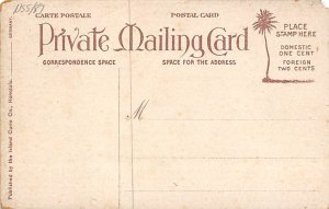 Poi  Hawaiian Fish Fish Unused 