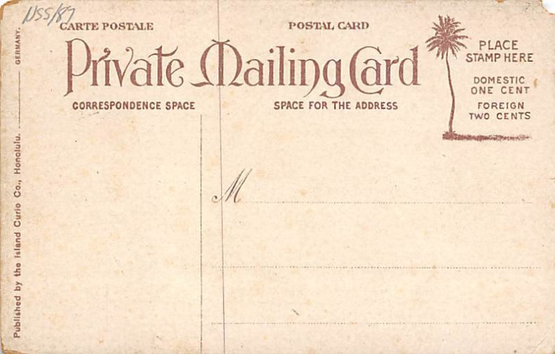 Poi  Hawaiian Fish Fish Unused 