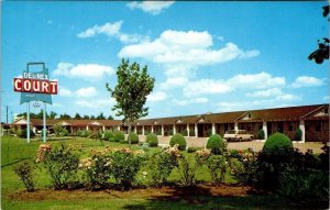 Poplar Bluff, MO Missouri  DEL REX MOTEL  Roadside  60's Station Wagon  Postcard