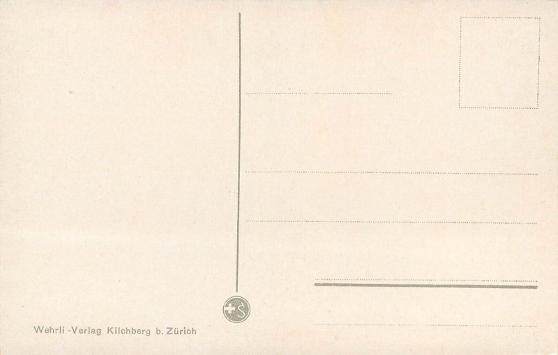 Switzerland navigation & sailing topic postcard Brunnen quai paddle steamer